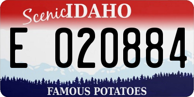 ID license plate E020884