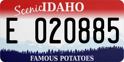 ID license plate E020885