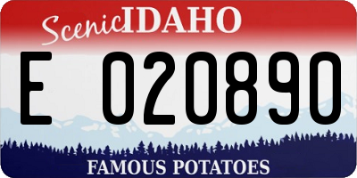 ID license plate E020890