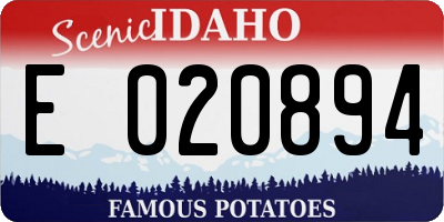 ID license plate E020894