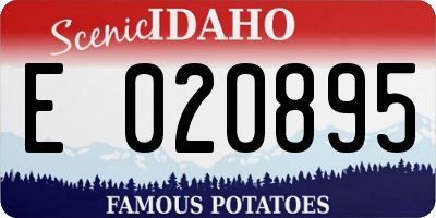 ID license plate E020895