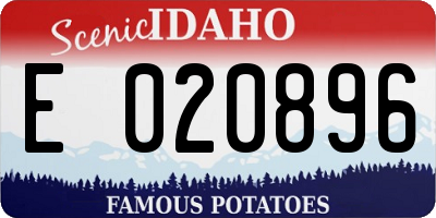 ID license plate E020896