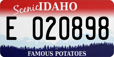 ID license plate E020898