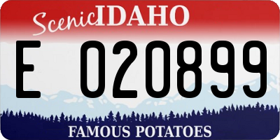 ID license plate E020899