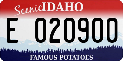 ID license plate E020900