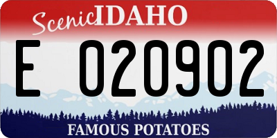 ID license plate E020902