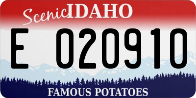 ID license plate E020910