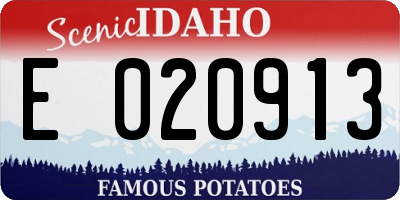 ID license plate E020913