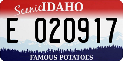 ID license plate E020917