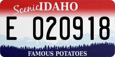ID license plate E020918