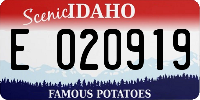 ID license plate E020919