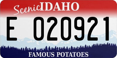 ID license plate E020921