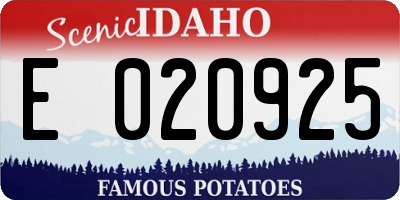 ID license plate E020925