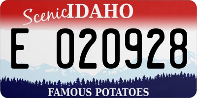 ID license plate E020928