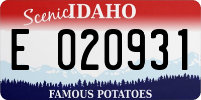 ID license plate E020931