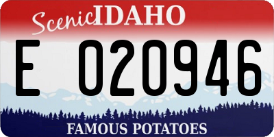 ID license plate E020946