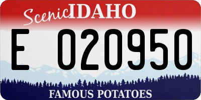 ID license plate E020950
