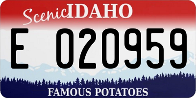 ID license plate E020959