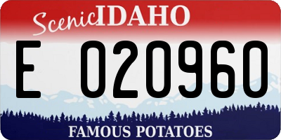 ID license plate E020960