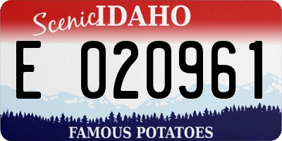 ID license plate E020961