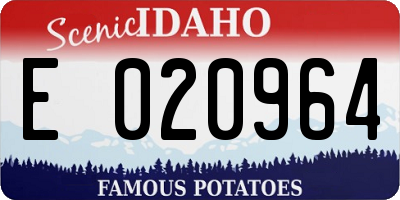 ID license plate E020964