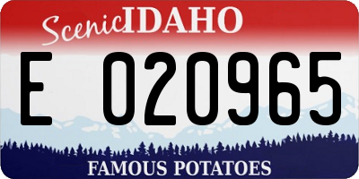 ID license plate E020965