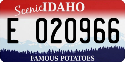 ID license plate E020966