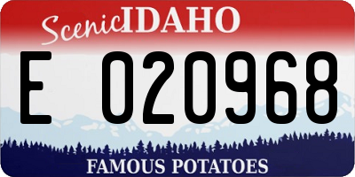 ID license plate E020968