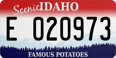 ID license plate E020973