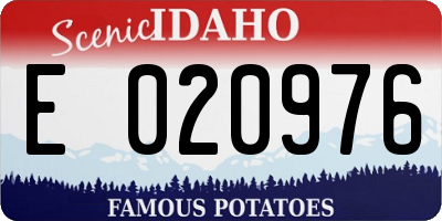 ID license plate E020976