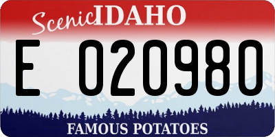 ID license plate E020980