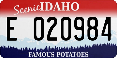 ID license plate E020984