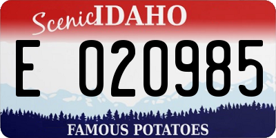 ID license plate E020985