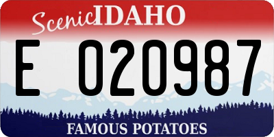 ID license plate E020987