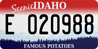 ID license plate E020988