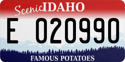 ID license plate E020990