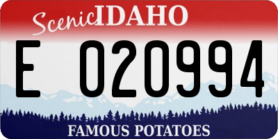 ID license plate E020994