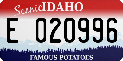 ID license plate E020996