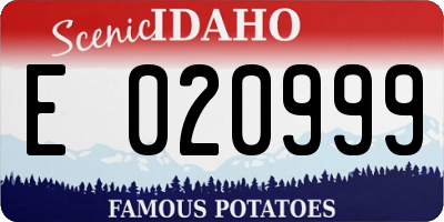 ID license plate E020999