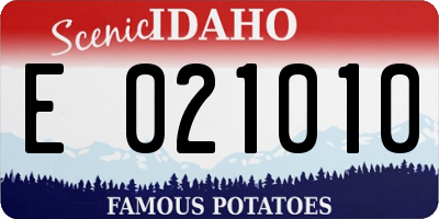 ID license plate E021010