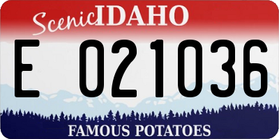 ID license plate E021036