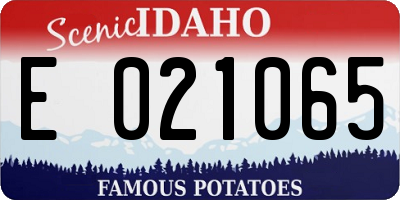 ID license plate E021065