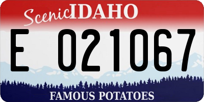 ID license plate E021067