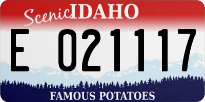 ID license plate E021117