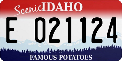 ID license plate E021124