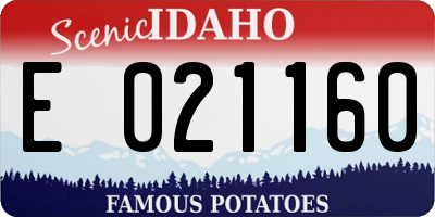 ID license plate E021160