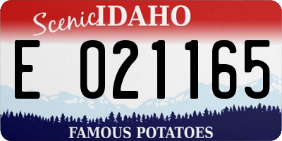 ID license plate E021165