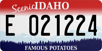 ID license plate E021224