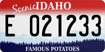 ID license plate E021233