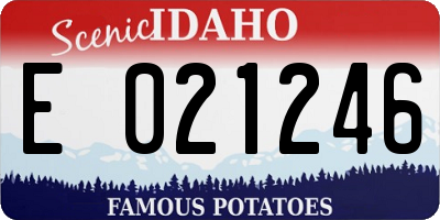 ID license plate E021246